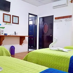 book here